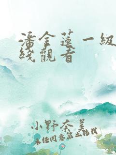 潘金莲一级片在线观看