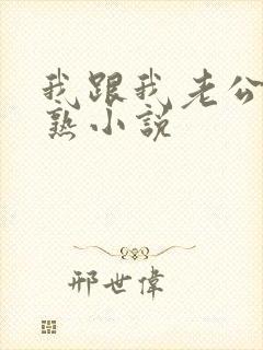 我跟我老公不太熟小说