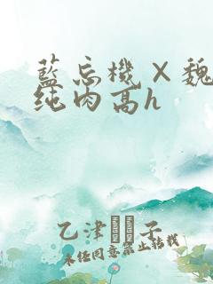 蓝忘机×魏无羡纯肉高h