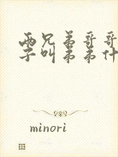 两兄弟哥哥的孩子叫弟弟什么