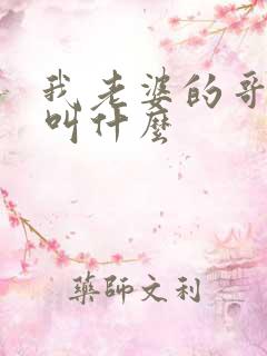 我老婆的哥哥我叫什么