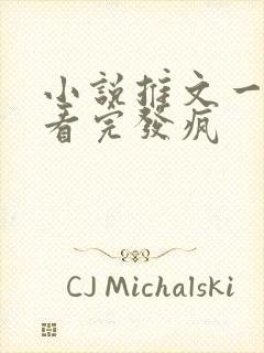 小说推文一口气看完发疯