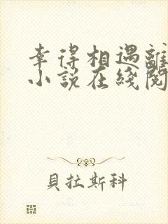 幸得相遇离婚时小说在线阅读