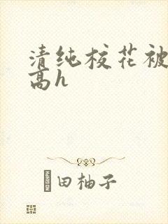 清纯校花被调教高h