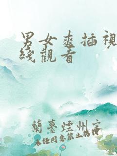 男女爽插视频在线观看