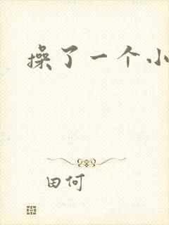 操了一个小骚货