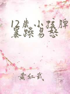 12岁小孩脾气暴躁易怒