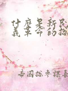 什么是新民主主义革命的总路线 主权问题