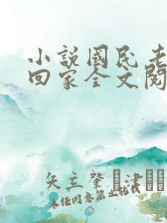 小说国民老公带回家全文阅读