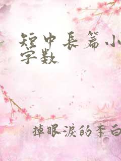 短中长篇小说的字数