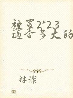 被罩2*2.3适合多大的被子