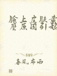 脸上皮肤黄是什么原因引起的 女人