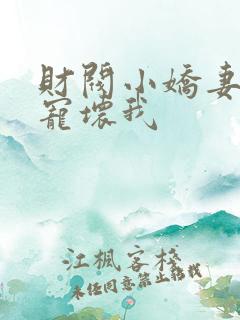 财阀小娇妻叔你宠坏我