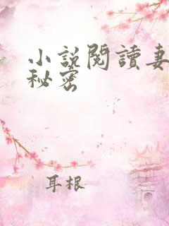小说阅读妻子的秘密