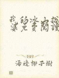 我的冰山总裁老婆免费阅读