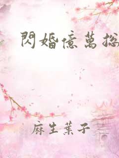 闪婚亿万总裁后