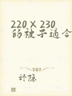 220×230的被子适合多大被罩