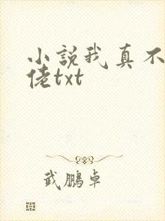 小说我真不是大佬txt