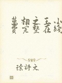 万相之王小说免费完整在线阅读