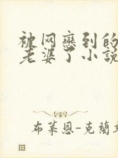 被网恋到的漂亮老婆了小说结局