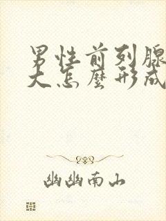 男性前列腺有肥大怎么形成的