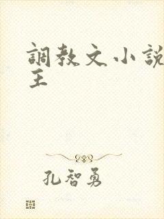 调教文小说双男主