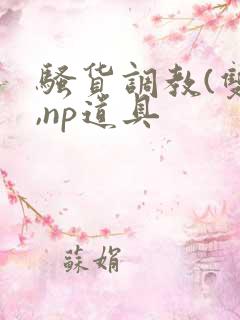 骚货调教(双性,np道具