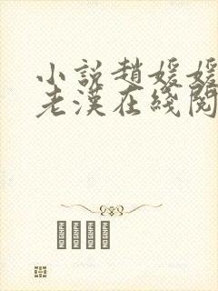 小说赵媛媛与王老汉在线阅读