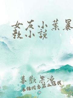 女友小叶暴露调教小说