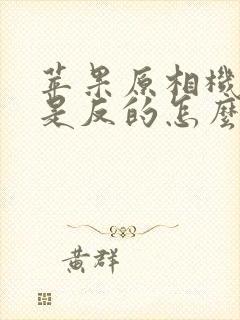 苹果原相机拍照是反的怎么调过来