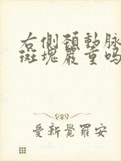 右侧颈动脉血管斑块严重吗