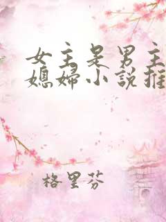 女主是男主的弟媳妇小说推荐