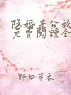 隐婚老公放肆宠免费阅读全