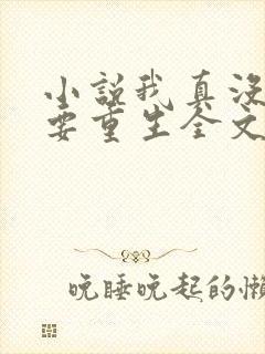 小说我真没想过要重生全文阅读