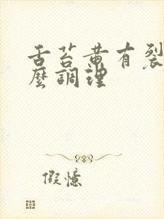 舌苔黄有裂纹怎么调理