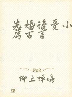 先婚后爱小说推荐古言