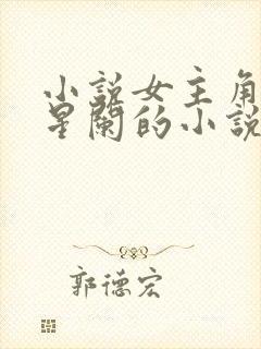 小说女主角叫林星阑的小说推荐