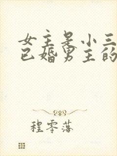 女主是小三勾搭已婚男主的文