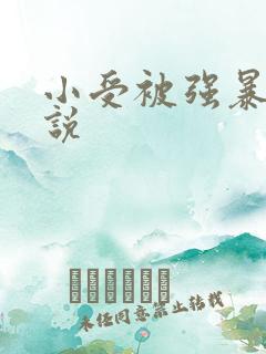 小受被强暴的小说