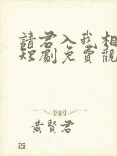 请君入我相思局短剧免费观看全集