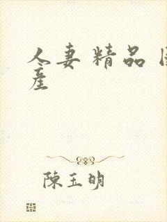 人妻 精品 国产