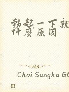 勃起一下就软了什么原因