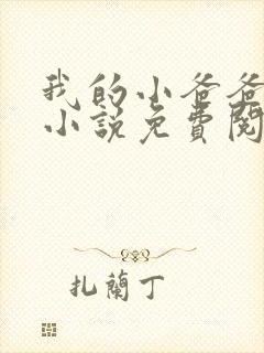 我的小爸爸李凯小说免费阅读