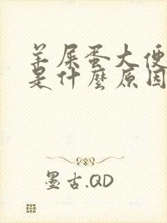 羊屎蛋大便中医是什么原因