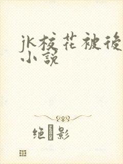 jk校花被后入小说