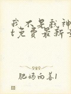 我不是戏神txt免费最新章节