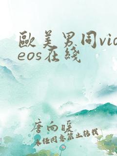 欧美男同videos在线