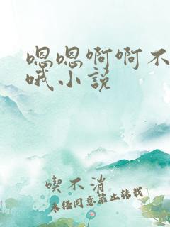 嗯嗯啊啊不要哦哦小说