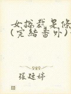 女总裁是条骚狗(完结番外)笔趣阁小说