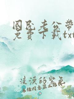 国民老公带回家免费下载txt